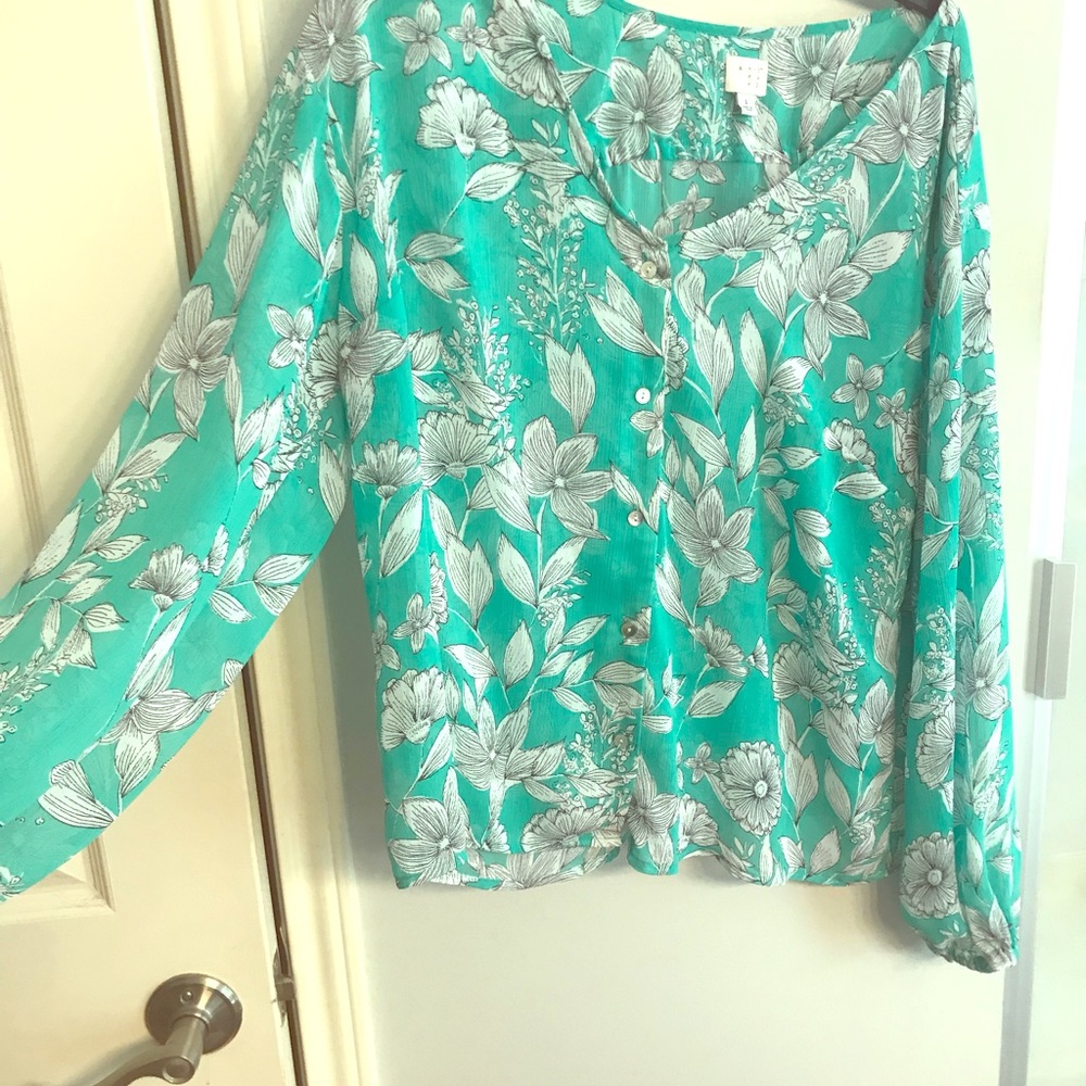 Sheer green blouse